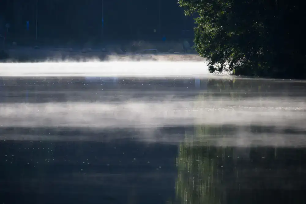 Calm morning water reflecting the trees