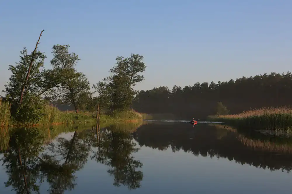 A calm waterway lined with tall trees, perfect for kayaking