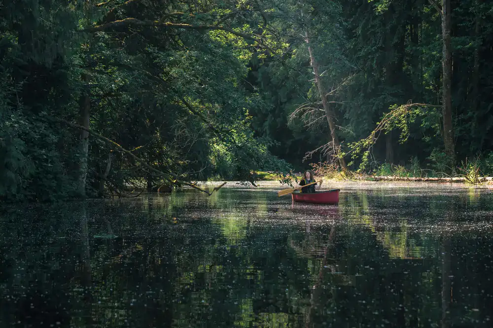 Paddlers navigating a calm waterway in a classic canoe