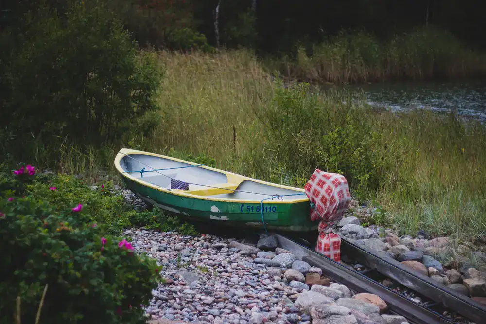 A canoe resting by a wooded shoreline