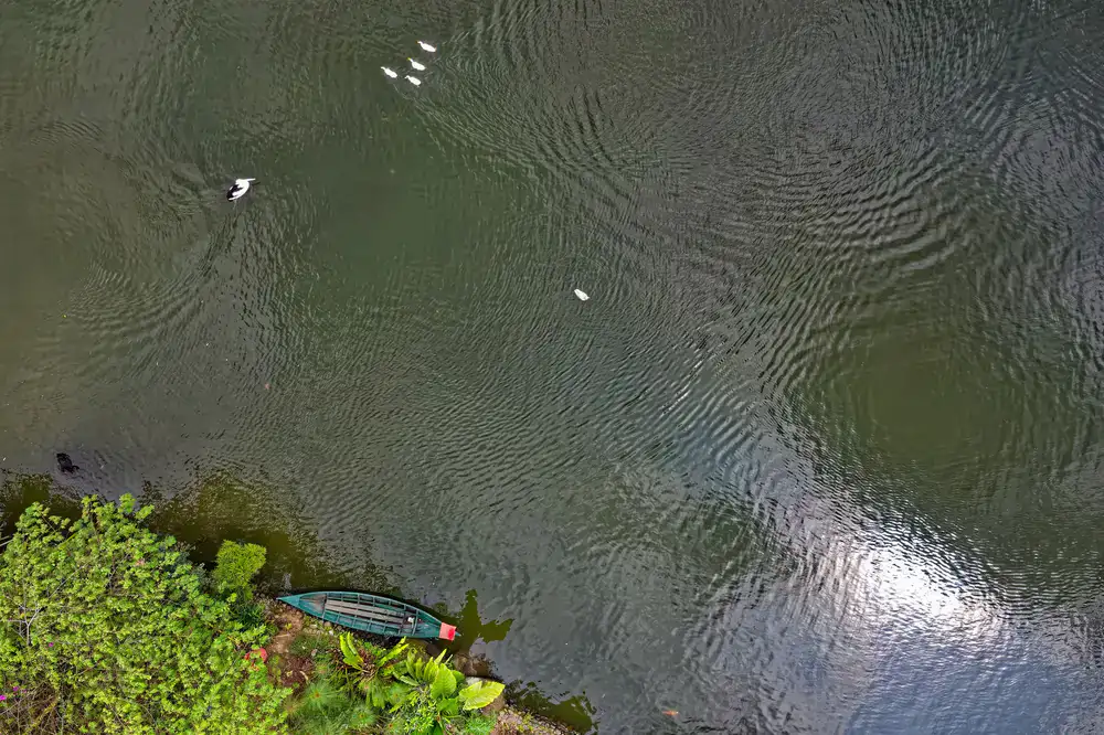 Bird watching from a canoe